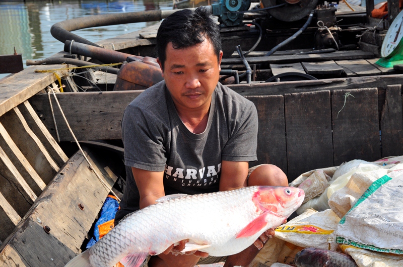 xuất bán nhiều cá