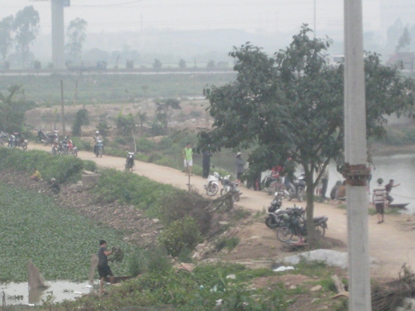 xuống hồ bắt cá