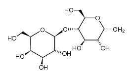 β-1,4-mannobiose trên tôm, β-1,4-mannobiose in shrimp, β-1,4-mannobiose, prebiotic trên tôm