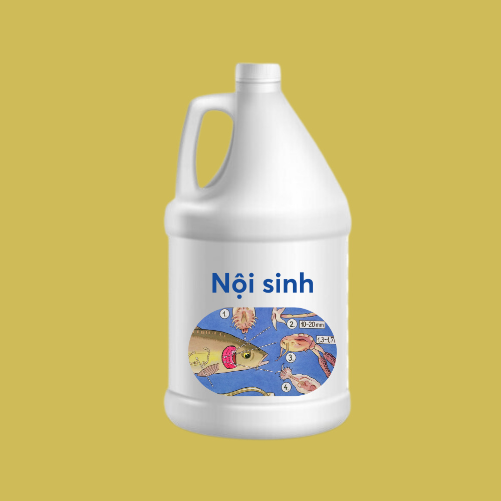 Thuốc xổ ký sinh