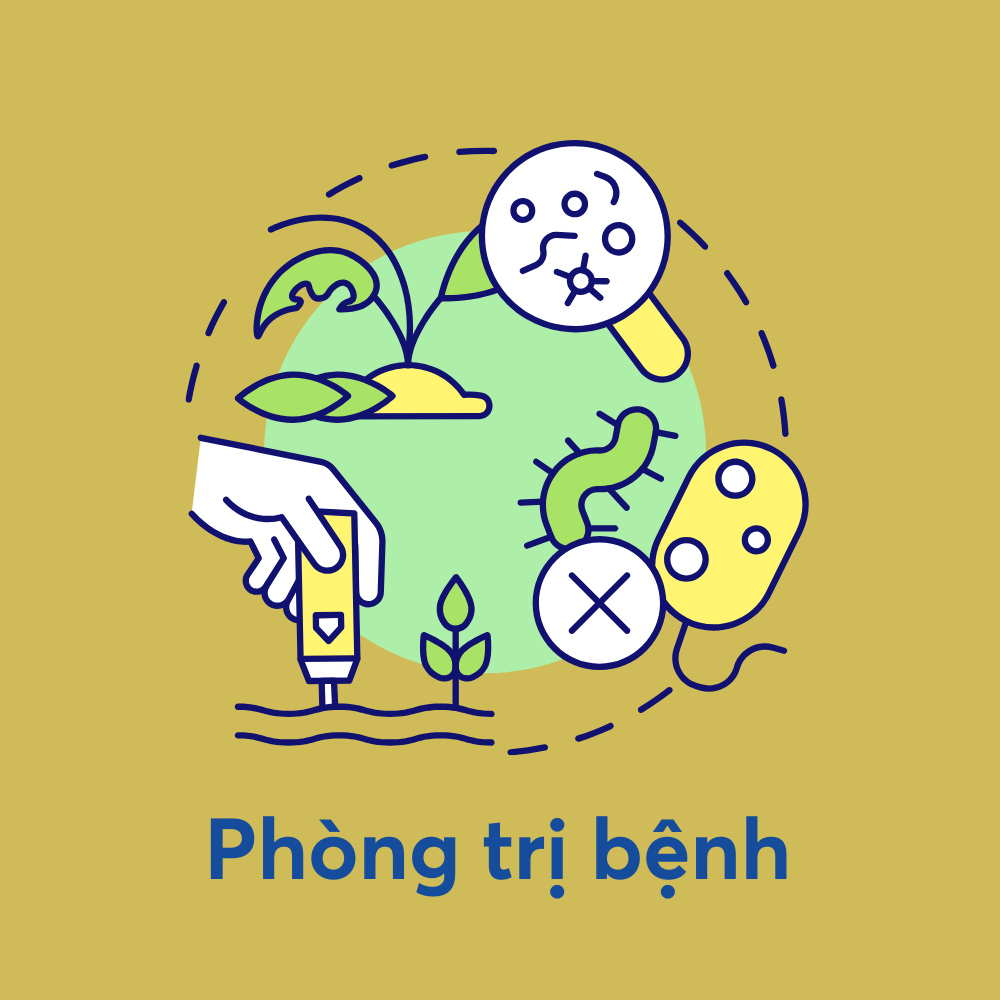 Phòng Trị Bệnh