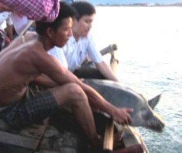 Cán bộ Chi cục biển đảo phối hợp với chính quyền sở tại thả rùa lại biển (Ảnh: Báo Thừa Thiên Huế)
