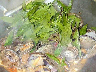 ngao xào húng quế