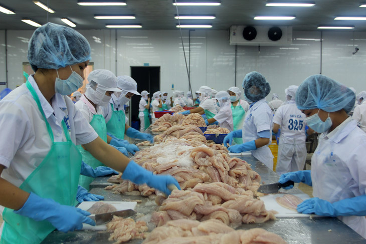 chế biến cá tra