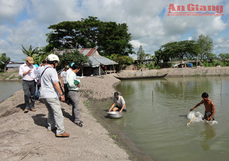 Nghiệm thu mô hình nuôi tôm càng xanh.
