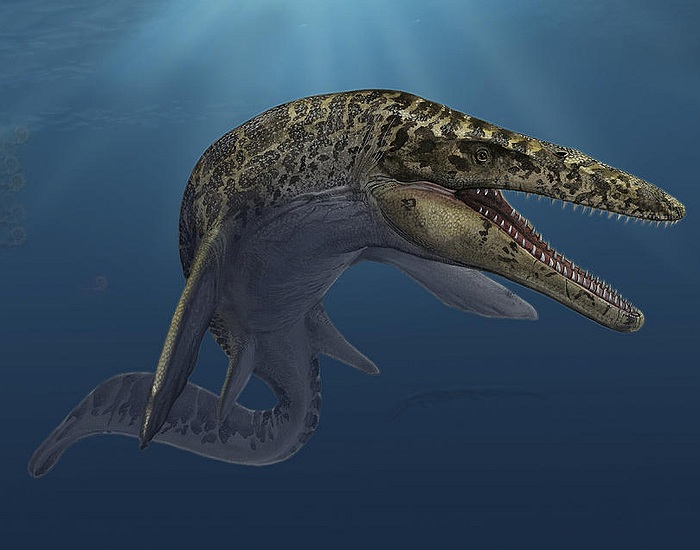 Đây là phát hiện của nhóm các nhà cổ sinh học thuộc Bảo tàng Lịch sử Tự nhiên Hungary và Đại học Alberta - Canada.