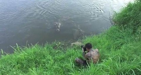 Ruiz xuống sát mép nước để chụp lũ cá sấu hoang