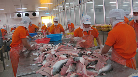 Doanh nghiệp xuất khẩu cá tra