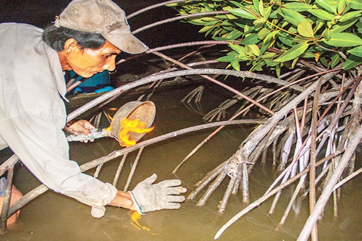 Mùa ba khía hội ở Đất Mũi