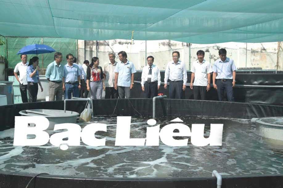 Bạc Liêu: Trình diễn nuôi tôm thẻ chân trắng siêu thâm canh trong hồ tròn