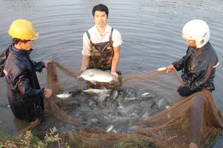 Tỷ phú cá vược với 3 quy trình sáng chế “made in” nông dân