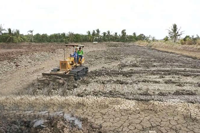 Sóc Trăng: Rộn ràng chuẩn bị vụ tôm nước lợ 2018