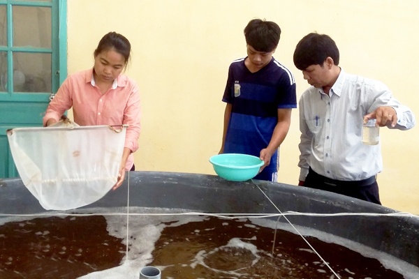 Siết chặt kiểm soát chất lượng tôm giống