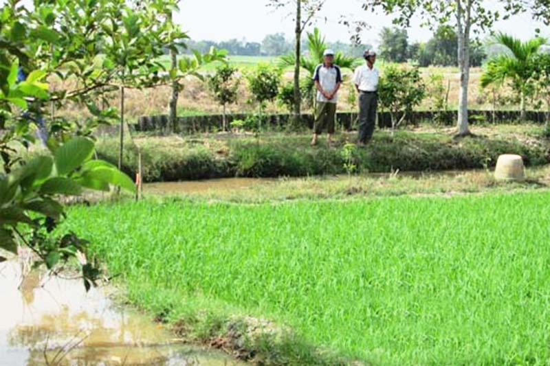 Nông dân Bạc Liêu làm giàu từ mô hình nuôi kết hợp