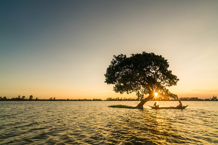 Miền Tây chống ngập lụt lẫn hạn mặn