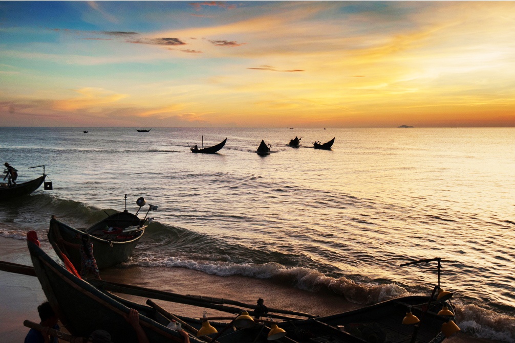 Mùa sứa biển Quảng Nam