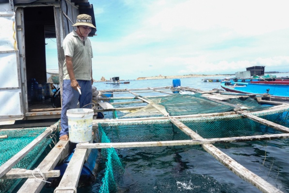 Hiệu quả bước đầu của Tổ hội nghề nuôi cá bớp