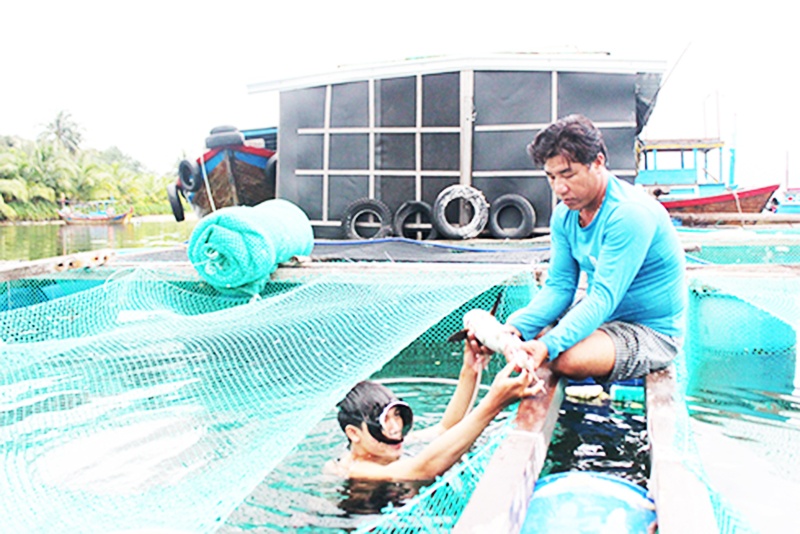 Quy định tạm thời về các vùng nuôi trồng thủy sản sẽ tạo điều kiện cho người dân đầu tư sản xuất.