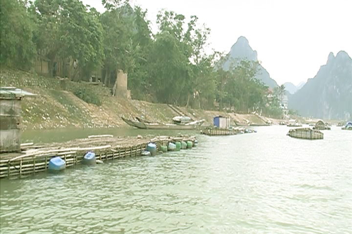 Châu Hóa: Hướng đi mới từ nuôi cá lăng chấm