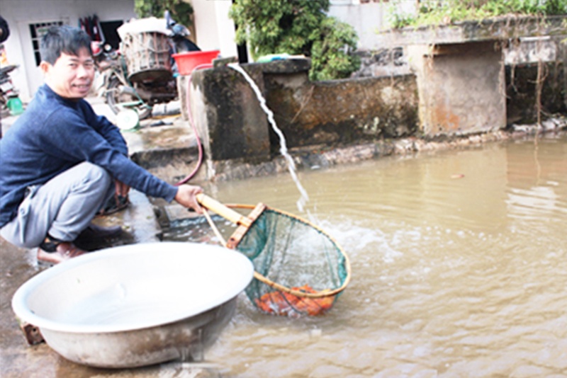 Nghĩa Châu phát triển nhờ nuôi trồng thủy sản