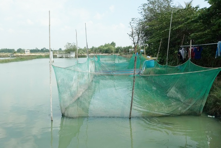 Khai thác tốt tiềm năng nuôi thủy sản nước ngọt