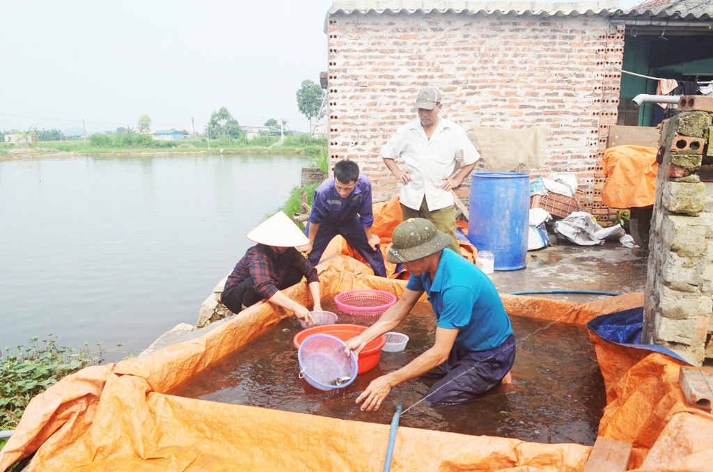 Những dự án khuyến ngư hiệu quả 2017