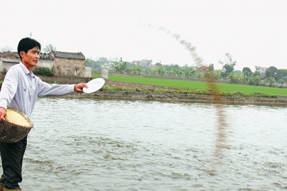 Say theo giá, coi chừng phải trả giá