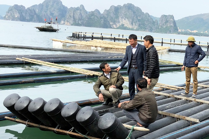 Phát triển vùng nuôi trồng thủy sản bền vững