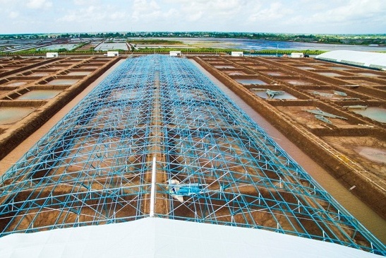 Bạc Liêu: Định hướng phát triển thủy sản theo vùng