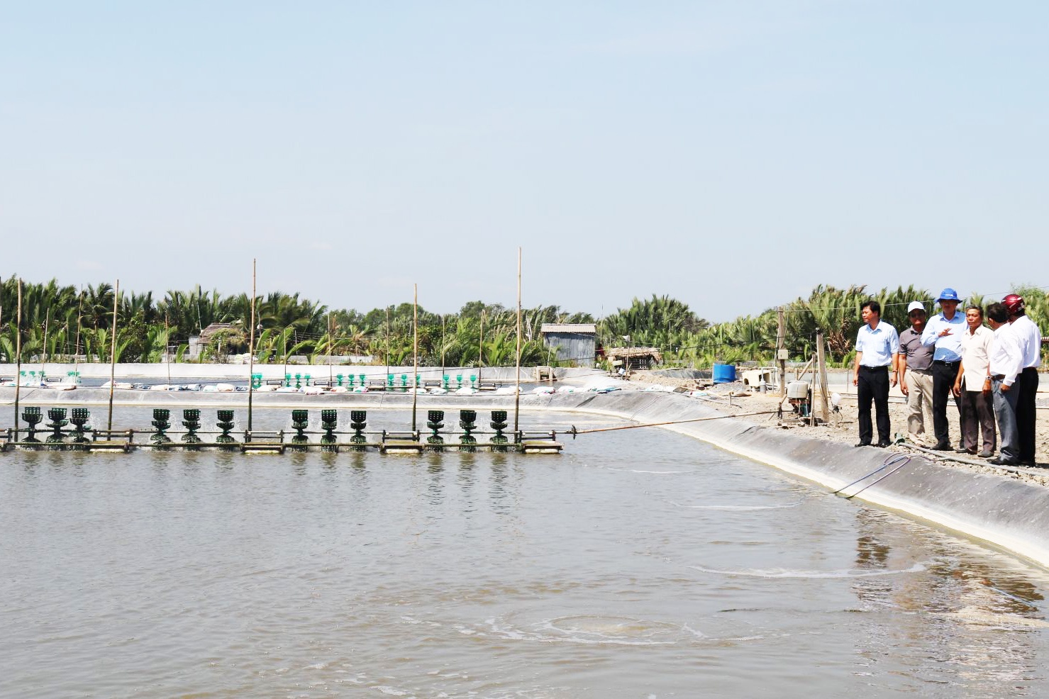 Long An: Người nuôi tôm cần được hỗ trợ