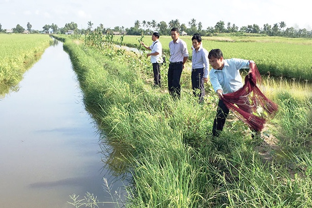 Nhiều hướng đi mới và cơ hội làm giàu cho nông dân