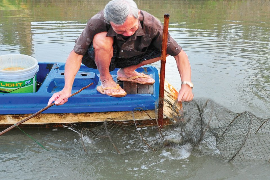Teo tóp con tôm càng xanh