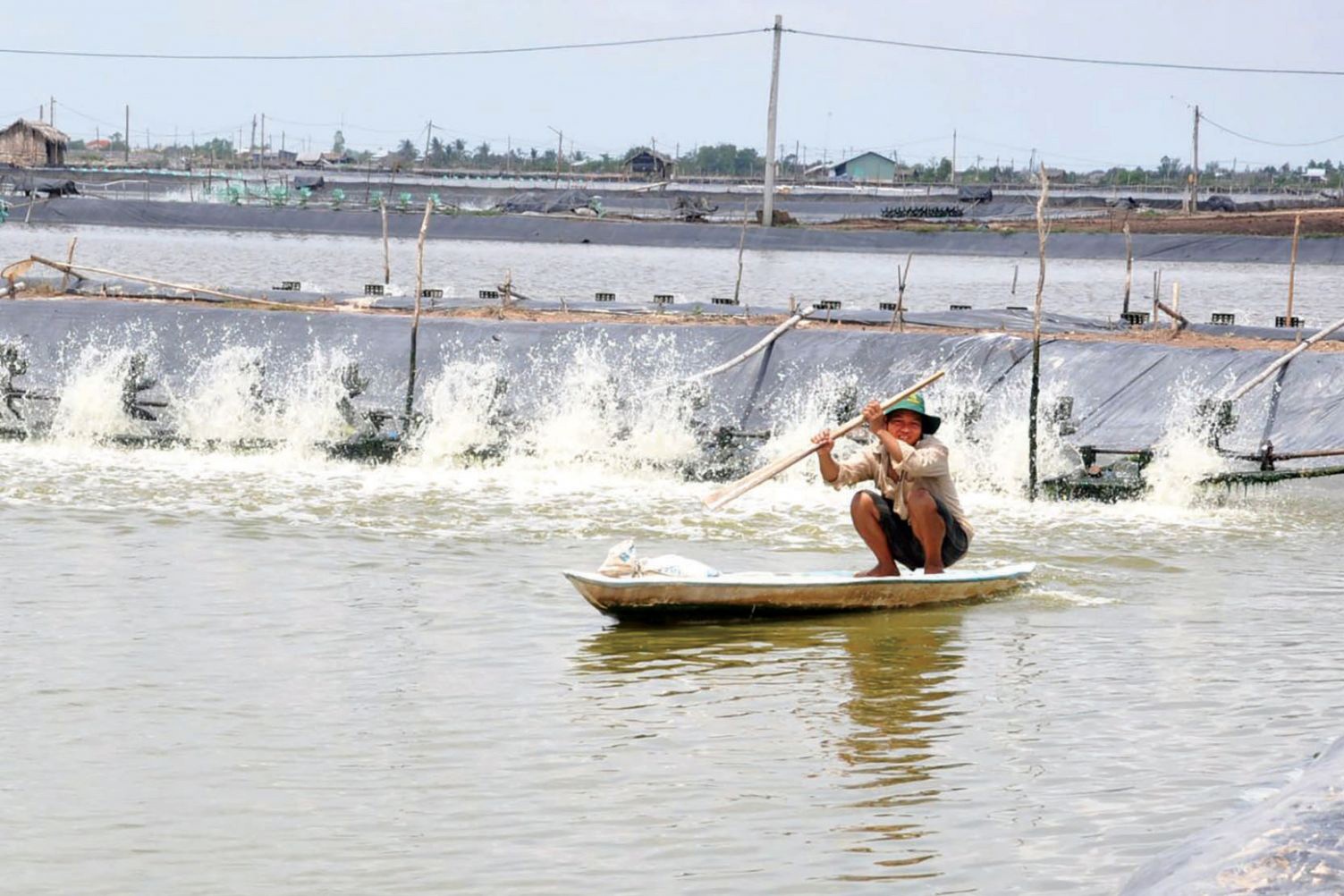 Vùng nuôi tôm thâm canh trước cơ hội và thách thức