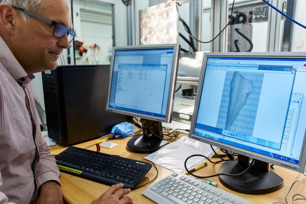 Công nghệ sử dụng ánh sáng kiểm tra chất lượng cá