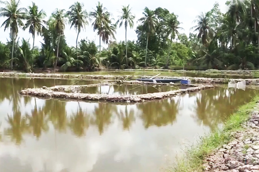 Hồng Dân: Thiếu nước mặn, nông dân mua nước mặn nuôi tôm