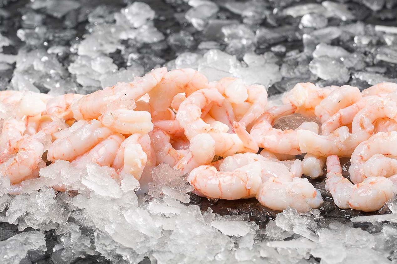 Tôm trên toàn cầu đang dư cung thúc đẩy thị trường mới