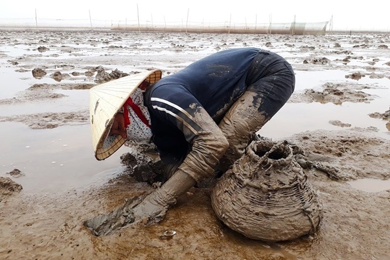 Theo chân ngư dân săn bắt cá kỳ lạ nhất hành tinh ở biển Thanh Hóa