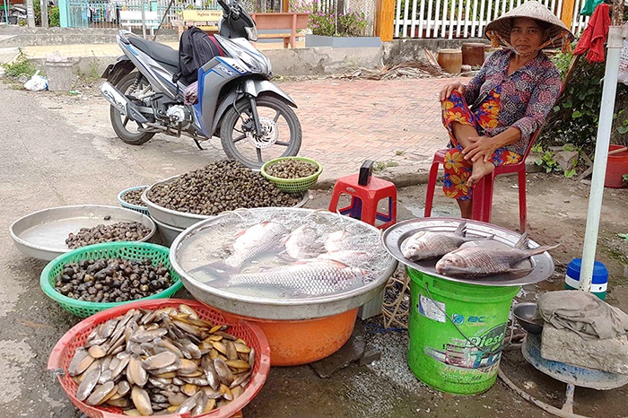 Ngư dân Vàm Nao trúng luồng cá cóc