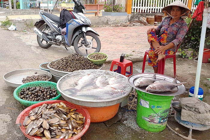 Ngư dân Vàm Nao trúng luồng cá cóc