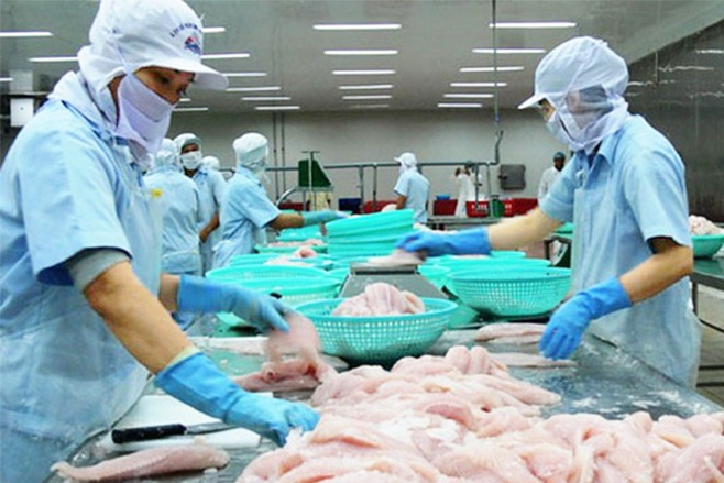 VASEP kiến nghị về việc kiểm soát chất lượng cá tra sang Trung Quốc