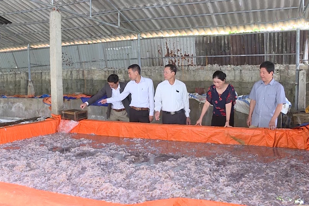 Thành công từ nghề chế biến hải sản