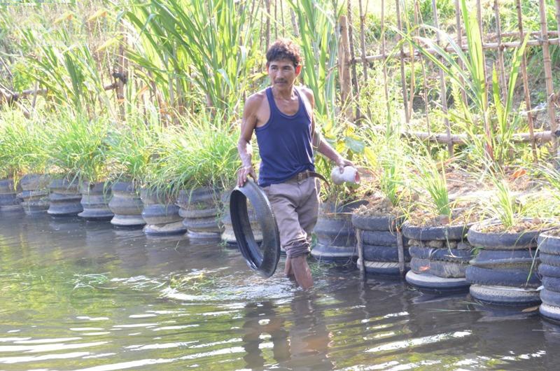 Lấy lốp xe làm bờ hồ nuôi cá