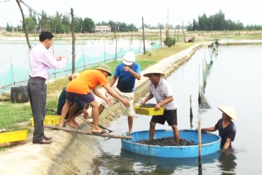 Thăm làng triệu phú ốc hương