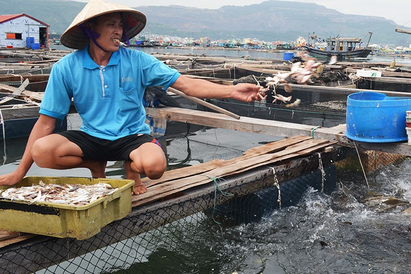 Để phát huy hơn nữa thế mạnh nuôi biển