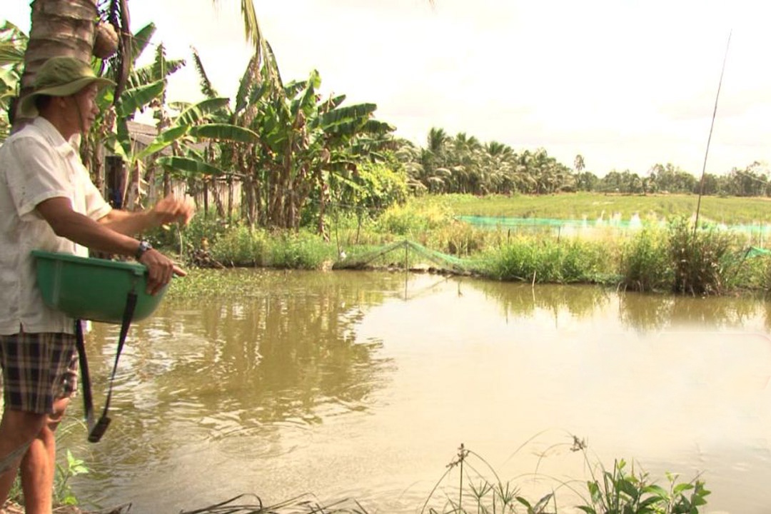 Sóc Trăng: Phát triển nuôi thủy sản nước ngọt