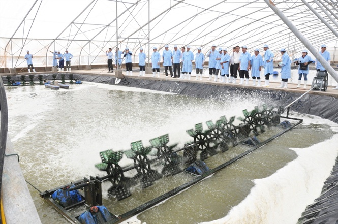 Nông dân đi học nuôi tôm công nghệ cao