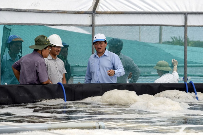 Ngọc Hiển: Cần tăng phát triển nuôi tôm sinh thái