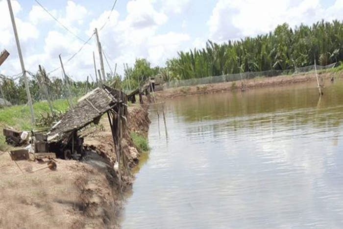 Đồng bào Khmer ổn định cuộc sống nhờ nuôi tôm