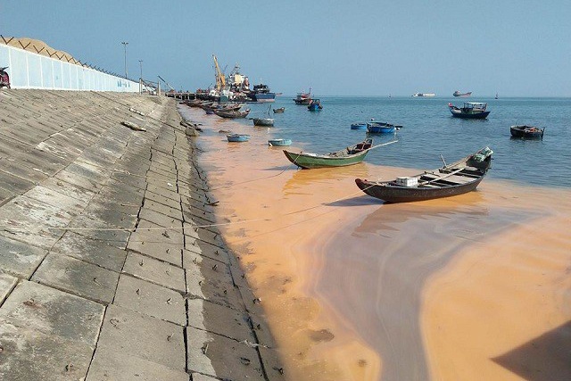 Vệt nước đỏ ở Quảng Bình do trứng khuyếc