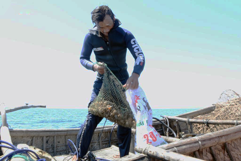 Lặn biển tìm ốc khiêu vũ